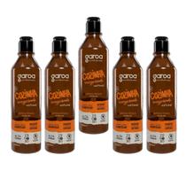 Limpa Cozinha Desengordurante Natural Vegano 600 Ml Kit 5