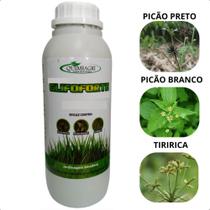 Limpa Mato Limpa Terreno e Calçadas Limpa Mato Limpa Terreno e Calçadas