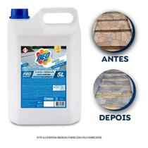 Limpa pedra concentrado 1:10 deoline - 5l
