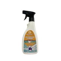 Limpa Rejunte Spray 500ml Bellinzoni Limpa Rejunte Spray 500ml Bellinzoni