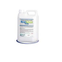 Limpa tudo - limpador universal alcalino - quimiart - 5 litros