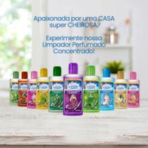 Limpador Concentrado De Ambientes 140ml Novo Frescor