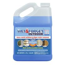 Limpador de exterior Wet & Forget Original 3785 ml Concentrado