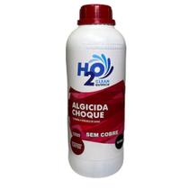 Limpador de Piscina Algicida Choque - H2O Clean Química