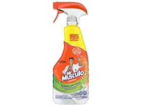 Limpador Desengordurante Mr Músculo Limão 500ml Limpador Desengordurante Mr Músculo Limão 500ml