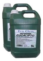 Limpador Desinfetante Eucalipto Eco Clean 5 Litros Kit 2