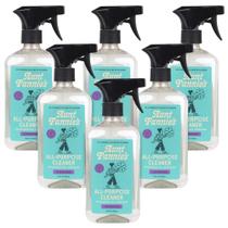 Limpador doméstico Aunt Fannie's Multi-Surface Spray, pacote com 6