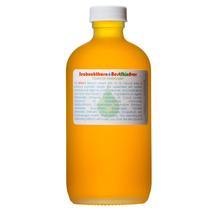 Limpador facial Living Libations Best Skin Ever Seabuckthorn Limpador facial Living Libations Best Skin Ever Seabuckthorn