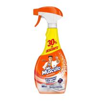 Limpador Tira Limo Mr. Músculo 500ml Limpador Tira Limo Mr. Músculo 500ml