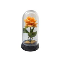 Linda Redoma C Rosa Laranja, Inspirada Rosa A Bela E A Fera