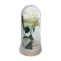 cone branco de rosa encantada - giuliana flores em Promoção no Magazine  Luiza