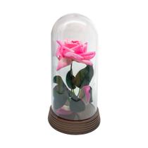 Linda Redoma com Rosa Rosa, inspirada na A Rosa Encantada do filme a A Bela e A Fera