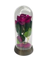 Linda Redoma com Rosa Roxa, inspirada na A Rosa Encantada do filme a A Bela e A Fera