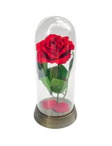 Linda Redoma Com Rosa Vermelha,Inspirada Na A Rosa Encantada