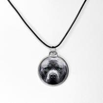 Lindo colar pingente arte em resina pit bull joia única