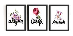 Lindo Kit 3 Quadros Inspiração Alegria Calma E Bondade Lindo Kit 3 Quadros Inspiração Alegria Calma E Bondade