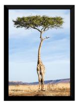 Lindo Quadro Decoração Surreal A Girafa Na Arvore 42x29 Lindo Quadro Decoração Surreal A Girafa Na Arvore 42x29