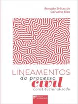 Lineamentos do processo civil constitucionalizado - vol. 1