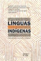 Línguas indígenas: linguística, cultura e ensino