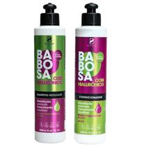 Linha Babosa com Hialurônico - Shampoo - Condicionador - Creme Pentear - Máscara Hidratante BioSeiva
