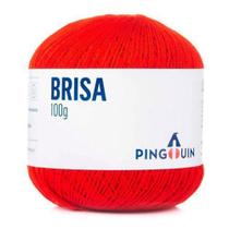 Linha Brisa Bola 100g 500M - PINGOUIN