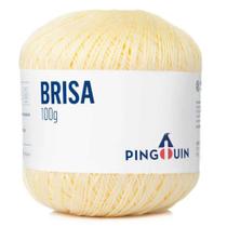 Linha Brisa Pingouin Novelo com 500m