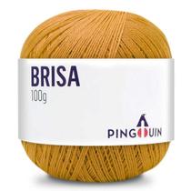 Linha Brisa Pingouin Novelo com 500m