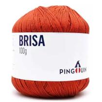 Linha Brisa Pingouin Novelo com 500m