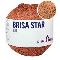 Linha Brisa Star Pingouin Novelo com 440 Metros