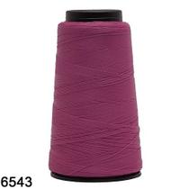 Linha liza grossa cor 6543 açaí