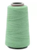 LINHA LIZA MODA GROSSA 500 MTS COR 5327 CHÁ VERDE - Círculo