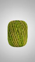 Linha para Crochê 400g 6 Fios Multicolor Premium Linha para Crochê 400g 6 Fios Multicolor Premium