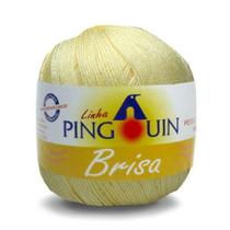 Linha Pingouin Brisa para Crochê e Macramê 100% Acrílico com 100g