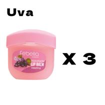 Lip Balm Hidrante Labial antiressecamento Frutas Febella