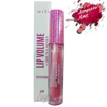 Lip Volume Mizz By Bruna Rotta 4ml