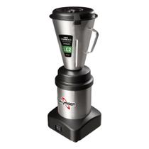 Liquidificador Industrial Em Inox Baixa Rotação 2L LC2 127v Skymsen