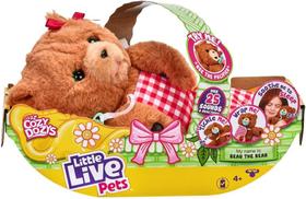 Little Live Pets Cozy Dozy Cubbles O Urso - Fun F0123-1