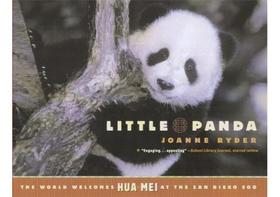 Little panda Little panda