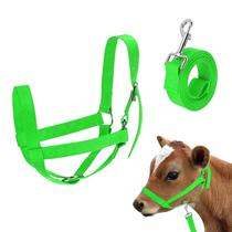Livestock Cow Halter M METERXITY ajustável em nylon verde