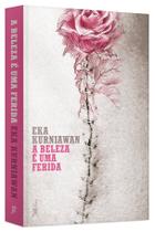 Livro - A beleza é uma ferida Livro - A beleza é uma ferida