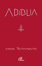 Livro - A Bíblia - Novo testamento (capa cristal)