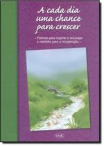Livro - A cada dia uma chance para crescer Livro - A cada dia uma chance para crescer