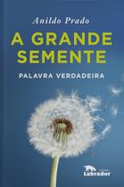 Livro - A grande semente Livro - A grande semente
