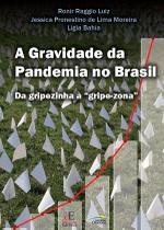 Livro - A Gravidade da Pandemia no Brasil