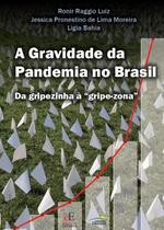 Livro - A Gravidade da Pandemia no Brasil
