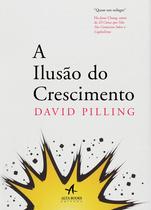 Livro - A ilusão do crescimento Livro - A ilusão do crescimento