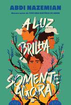 Livro - A luz brilha somente agora