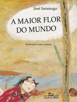 Livro - A maior flor do mundo