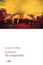Livro - A menor das tempestades Livro - A menor das tempestades