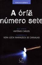 Livro - A órfã número sete